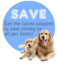 intro-coupons